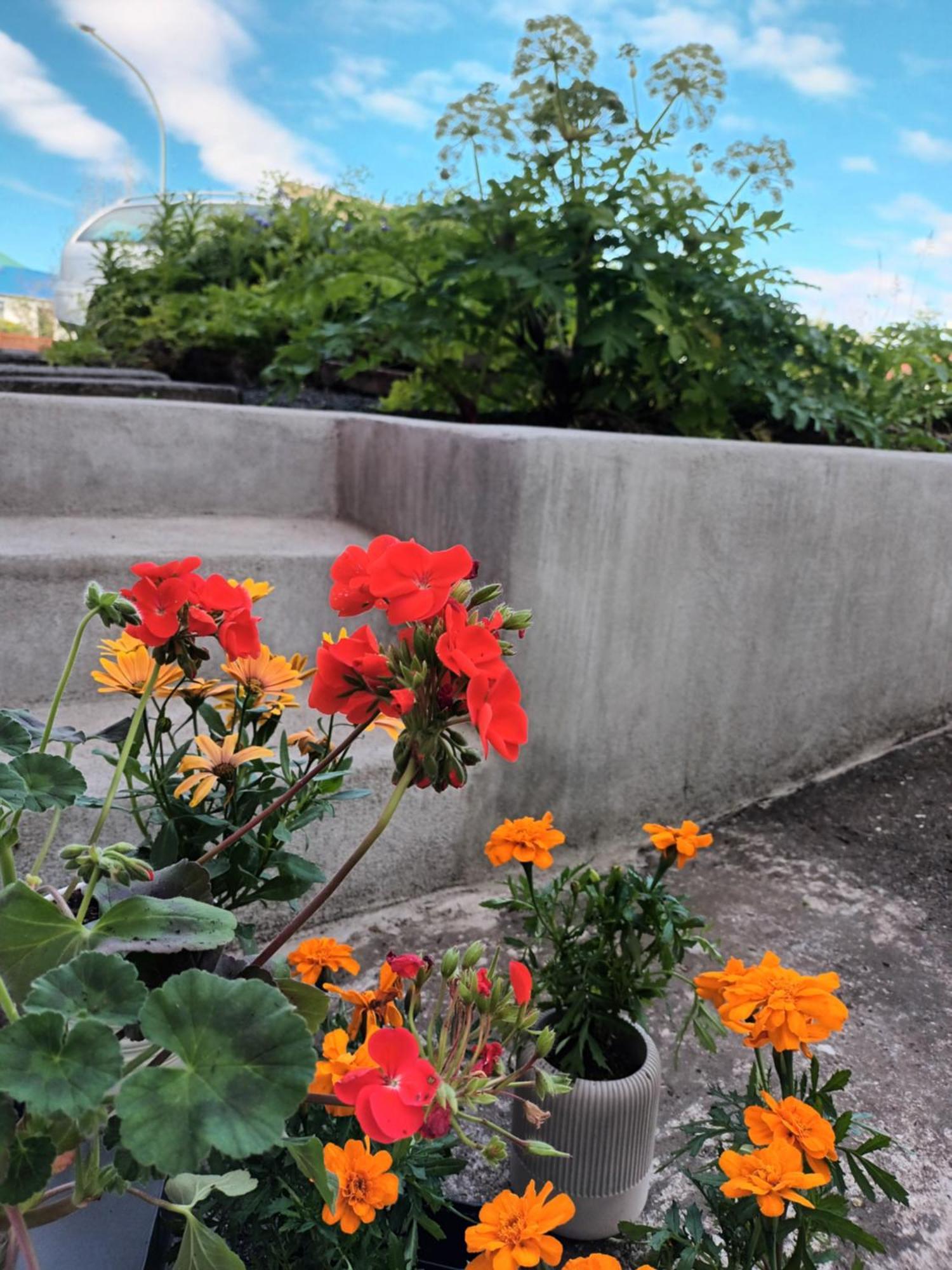Lara Studio In Laugardalur Valley, Reykjavik Central Park And Botanical Garden, Private Entrance, Free Private Parking On Side المظهر الخارجي الصورة