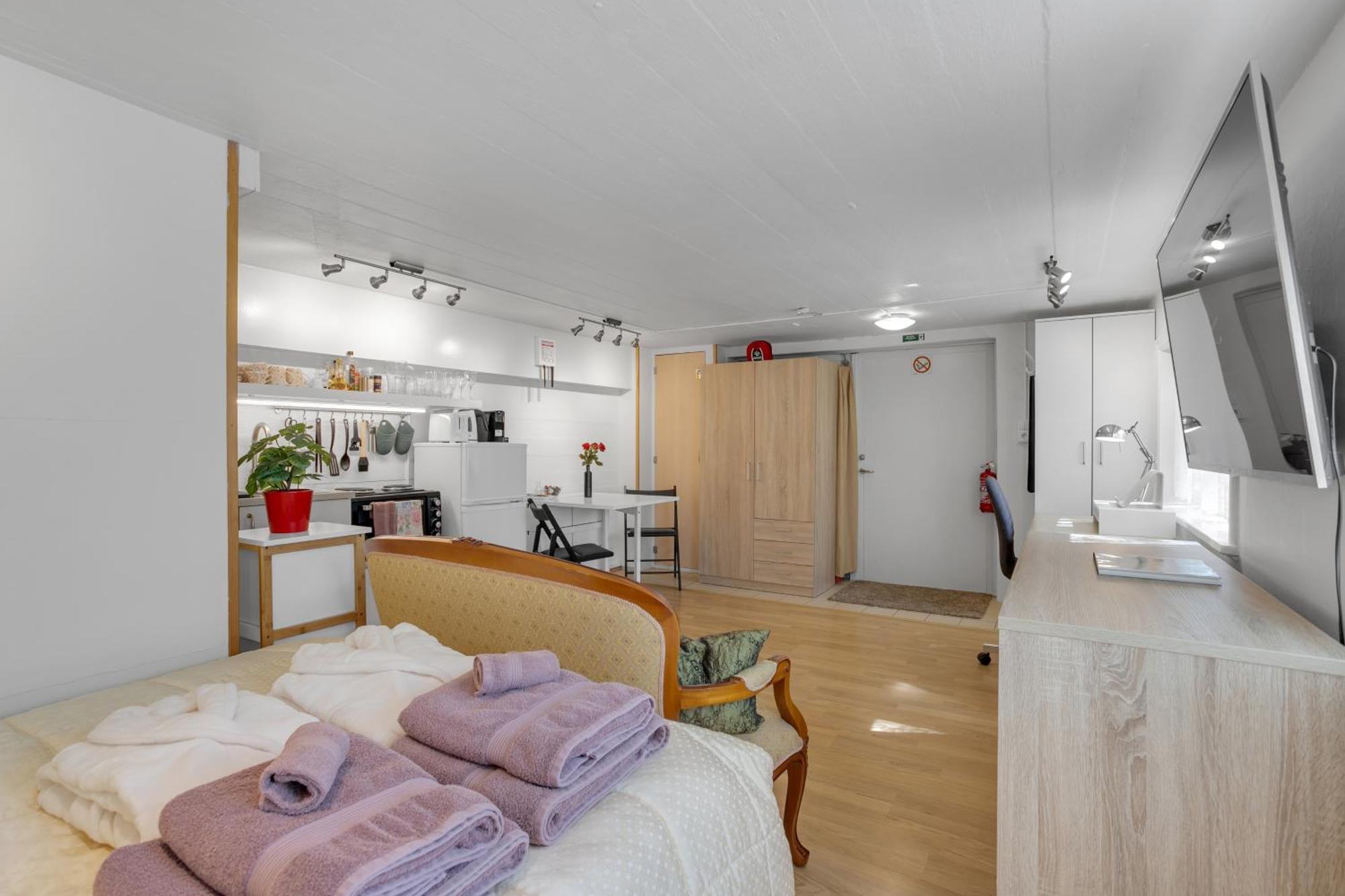 Lara Studio In Laugardalur Valley, Reykjavik Central Park And Botanical Garden, Private Entrance, Free Private Parking On Side المظهر الخارجي الصورة