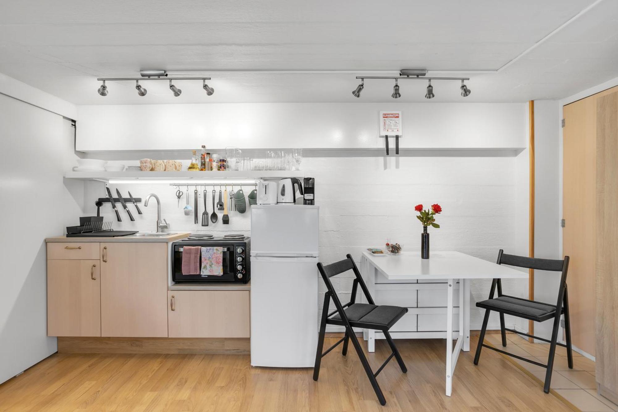 Lara Studio In Laugardalur Valley, Reykjavik Central Park And Botanical Garden, Private Entrance, Free Private Parking On Side المظهر الخارجي الصورة