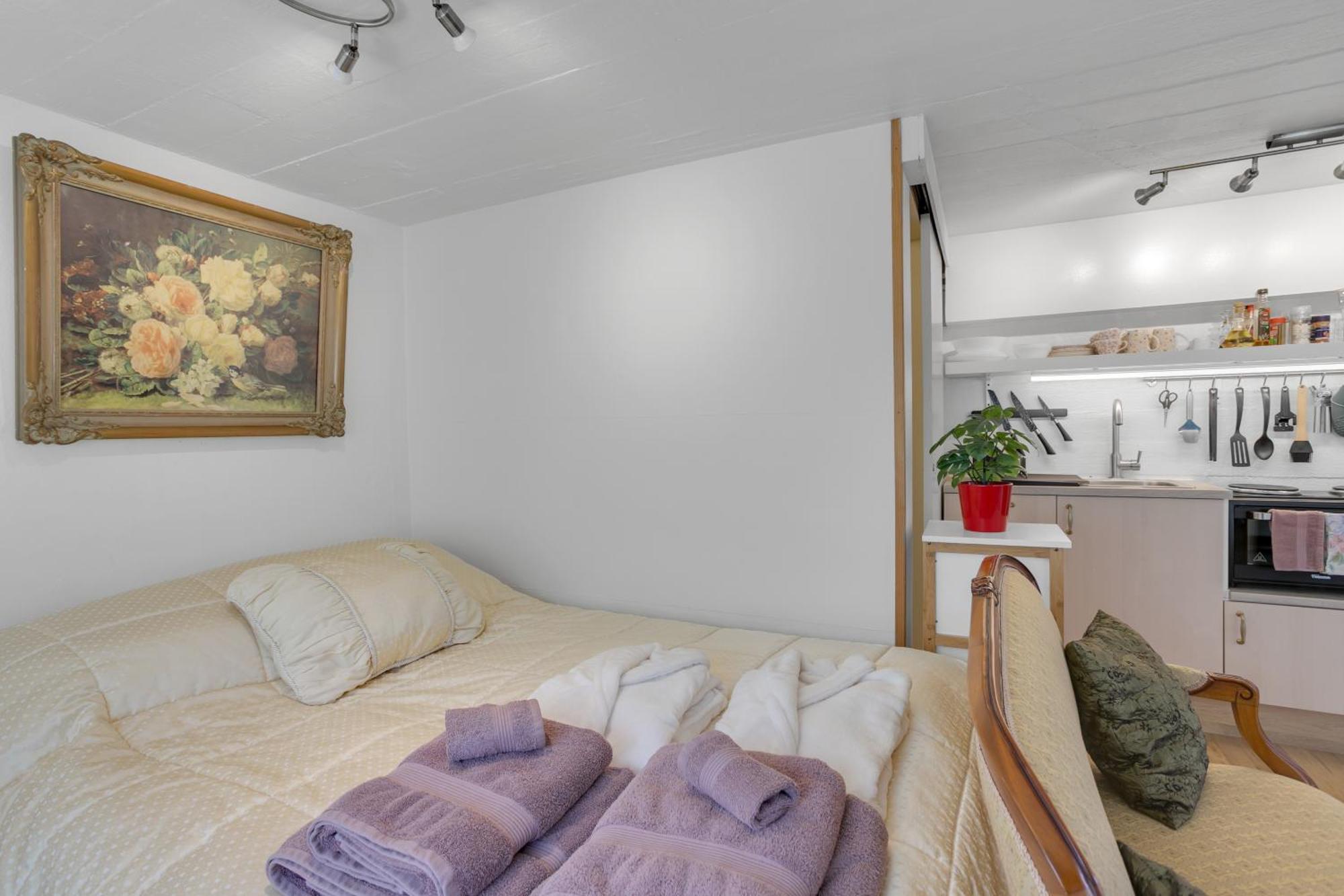 Lara Studio In Laugardalur Valley, Reykjavik Central Park And Botanical Garden, Private Entrance, Free Private Parking On Side المظهر الخارجي الصورة