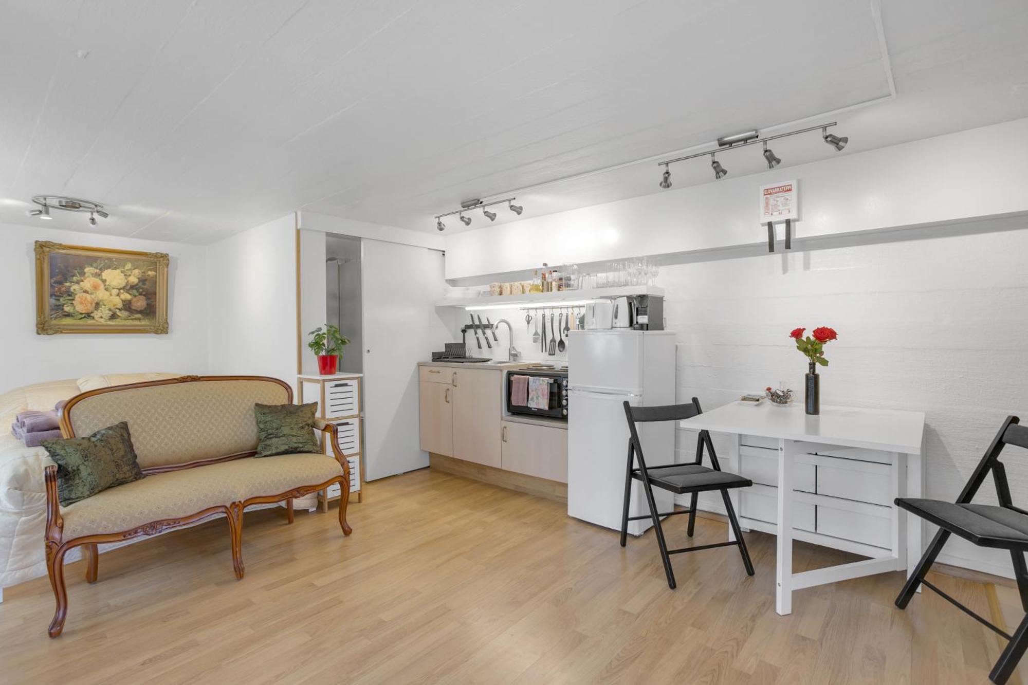 Lara Studio In Laugardalur Valley, Reykjavik Central Park And Botanical Garden, Private Entrance, Free Private Parking On Side المظهر الخارجي الصورة